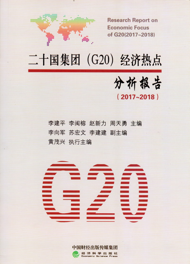 大黑屌操逼二十国集团（G20）经济热点分析报告（2017-2018）