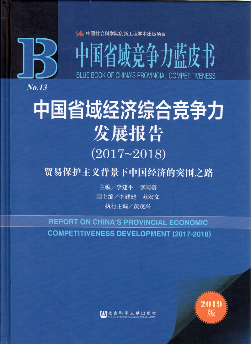 狠狠插入骚逼视频中国省域经济综合竞争力发展报告（2017-2018）