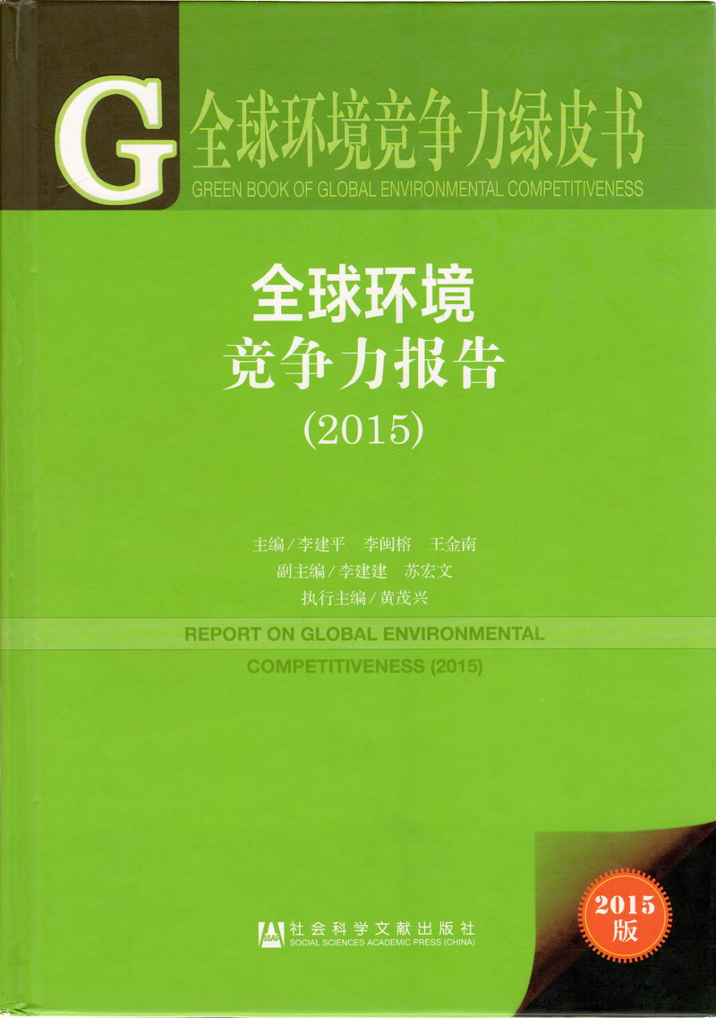 骚货被操得开心叫在线视频全球环境竞争力报告（2017）