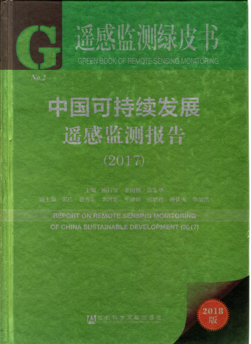 小巷人家40集全部剧情中国可持续发展遥感检测报告（2017）